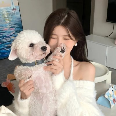 飞向月球 海报